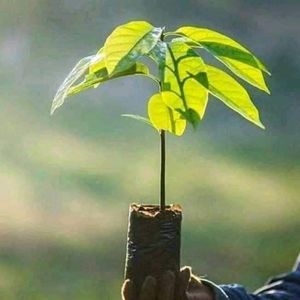 Meet your Posher, Martha